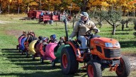 Readers say this Michigan apple orchard is among the best in the US. See the full list