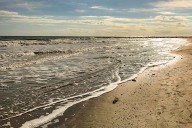 8-Year-Old Girl Bitten by Shark Over Labor Day Weekend, Family Says