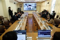 Prohíben carreras de perros: iniciativa pasa a Sala con sanciones de hasta 3 años de cárcel