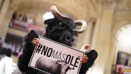 Primicia: ponencia que discutirá la Corte Constitucional pide avalar la prohibición de las corridas de toros en Colombia; estas son las razones