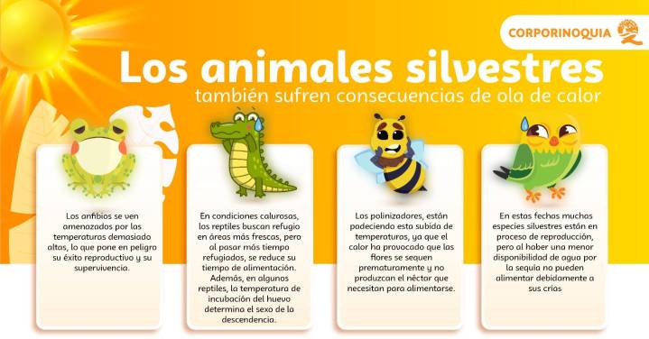 Impactantes Efectos del Calor en la Fauna Silvestre