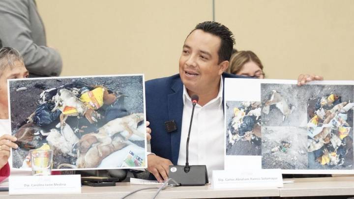 Diputado de Morena exhibe fotos de perros en tiradero; CECAA responde que son de hace 8 años