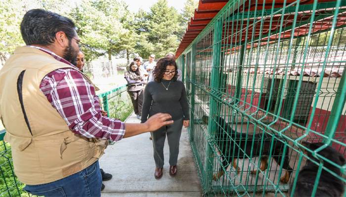 Avanza UAEMéx en construcción de una Agenda Universitaria de Bienestar Animal