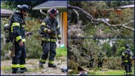 Marion County tree falls on 120-gallon propane tank, causing large gas leak: officials