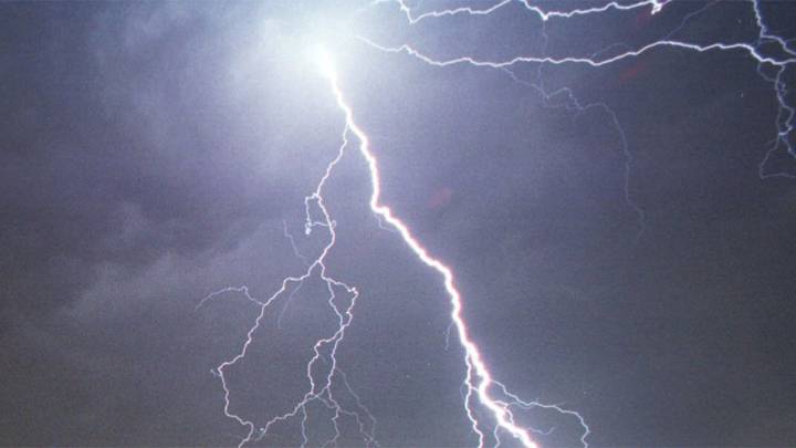 Missing Florida men, 2 dogs killed by apparent lightning strike: HCSO