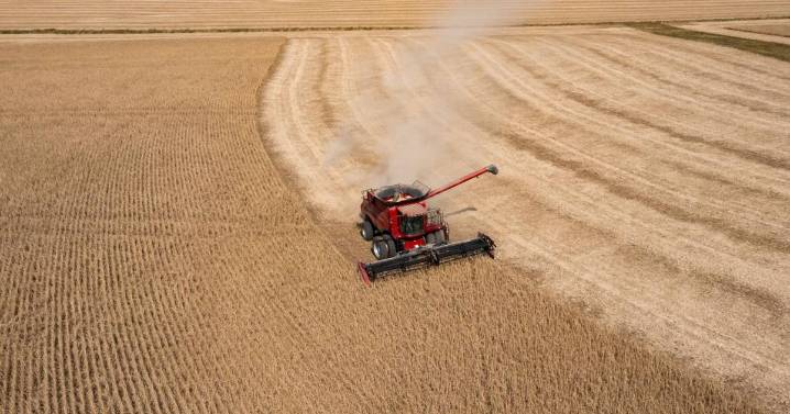 ‘Everything, everywhere, all at once’: Tariffs, costs and disease squeeze Iowa farms