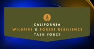 California boosts wildfire safety with fuel reduction projects timeline extensions