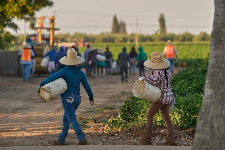 1.2M immigrants are gone from the US labor force under Trump, preliminary data shows