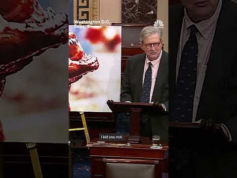 Senator makes ‘alien’ claims about radioactive shrimp