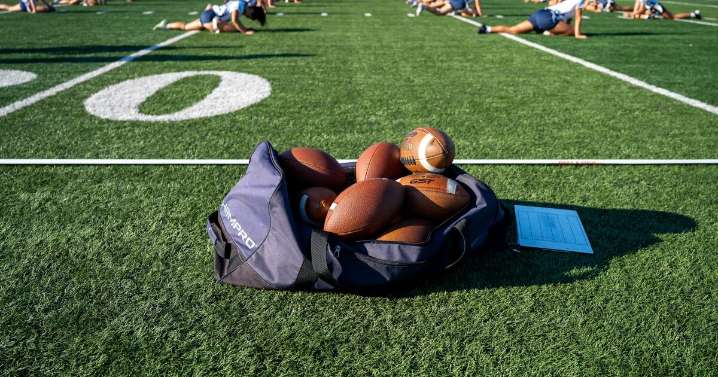 Letters to the Editor: Bamboo could be a sustainable solution to California’s artificial turf woes