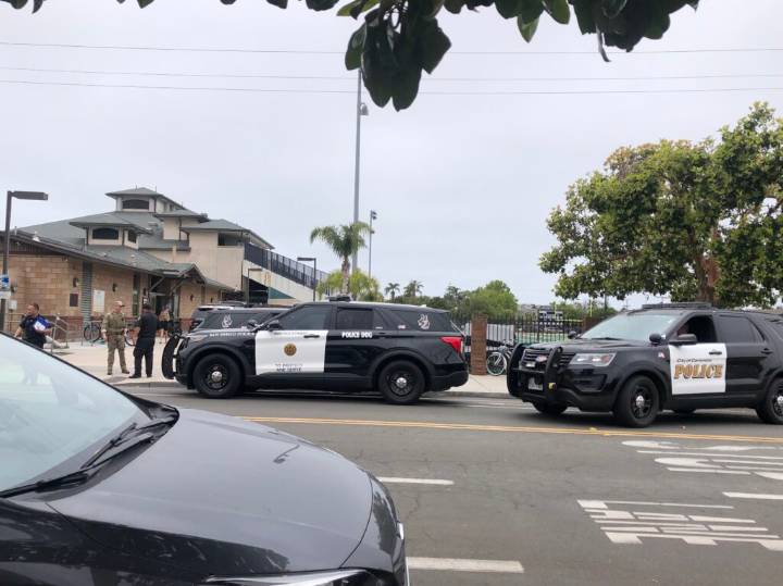 Coronado crime report: Battery on an officer, organized retail theft, fraud
