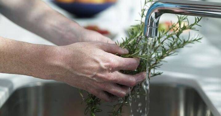 One common garden herb could help fight dementia and improve memory, study suggests