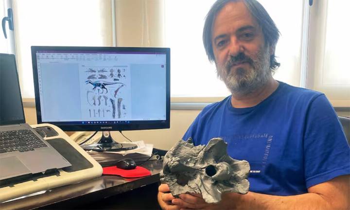 Un hallazgo impresionante y un nombre muy especial: la historia detrás del dinosaurio Joaquínraptor