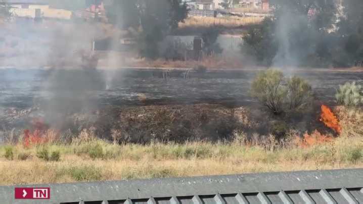 Extinguido un incendio de pastos, sin heridos, en la Cañada Real