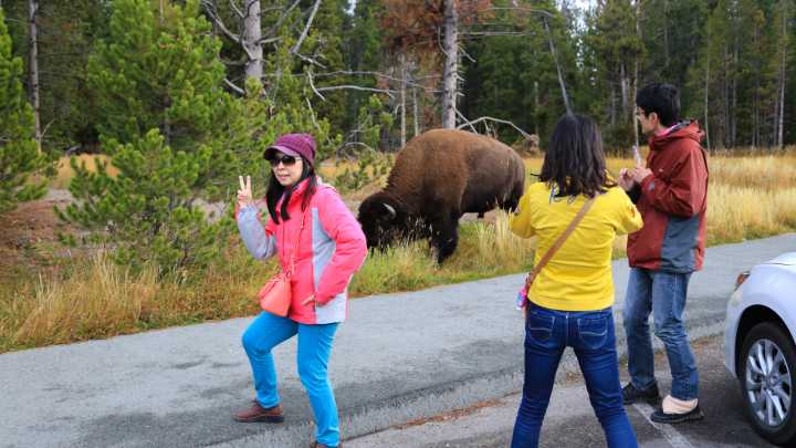 "Tourons" On The Loose: Travelers Are Behaving So Badly That They've Earned A New Nickname