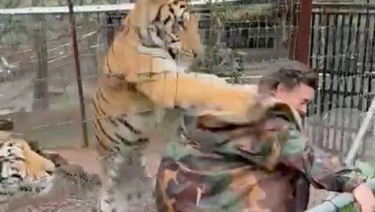 VIDEO: Tigre ataca a una mujer por acercarse a su jaula