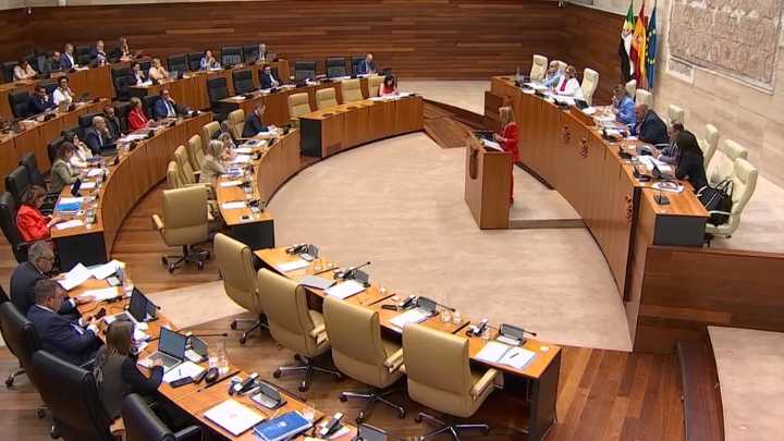 La Asamblea aprueba crear una comisión de investigación sobre los incendios del verano en Extremadura