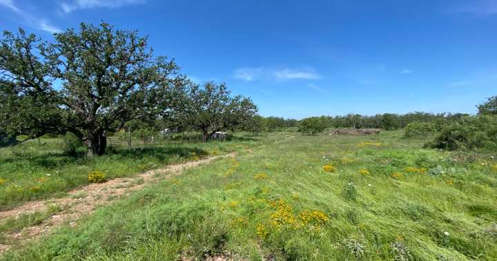 Texas ranch owners raffling off 76-acre ranch for less than a steak. Here's why.