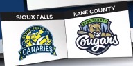 Canaries walked off in game one of the Wolff Cup Finals in Illinois
