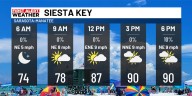 Beach & Boating Forecast Sunday