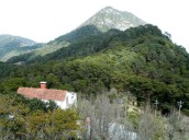 Visita el bello lugar del Cerro Cangandho en Hidalgo
