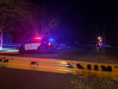Pedestrian hit by car in Dothan