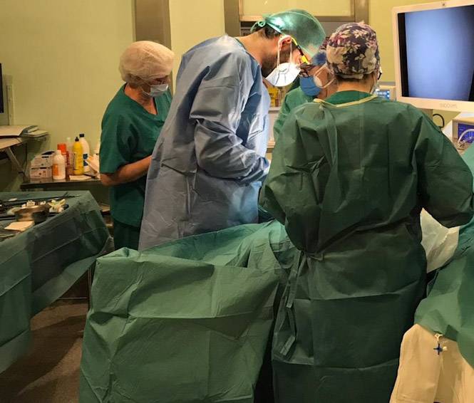 Granada incorpora un total de 218 donantes de médula ósea durante 2024