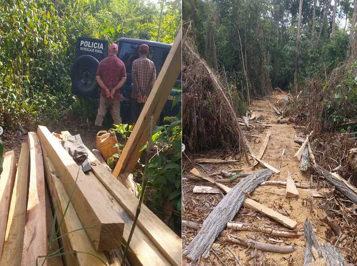 Minec incautó lote de madera obtenida de forma ilegal en Mérida