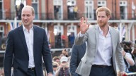 Sweet Throwback Vid Of Prince William & Harry Has A Tragic Backstory