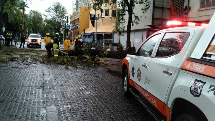 Fuerte lluvia en Puebla deja calles inundadas y caída de árbol de 12 metros HOY 3 de septiembr...