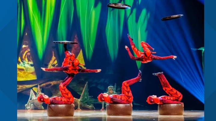 Cirque du Soleil's 'OVO' Enchants San Antonio This September