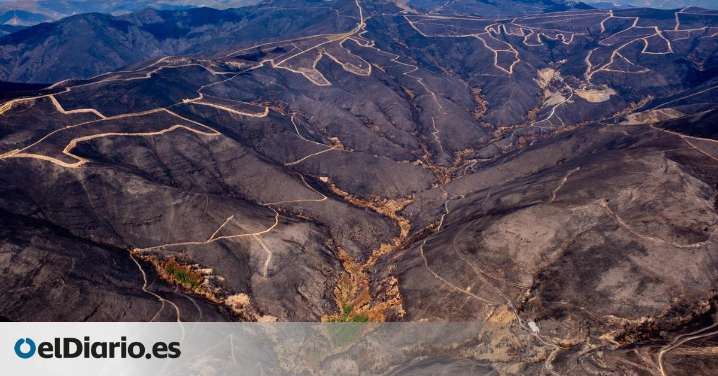 FOTOS | La devastación de los incendios en Castilla y León y Galicia, vista desde el aire