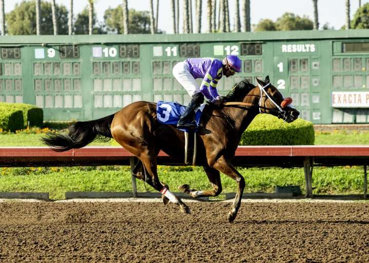 It’s a rerun for Man O Rose at Los Alamitos