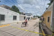 Enjambre de abejas ataca a vecinos y provoca cierre de calles en Champotón