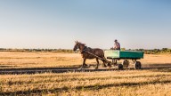 How to help trigger positive tipping points – and speed up climate action