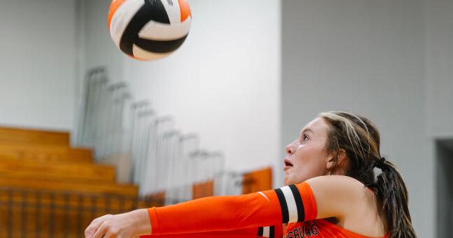 Williamsburg sweeps Jellico in three sets