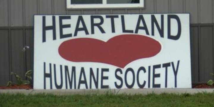 Heartland Humane Society continues to need help