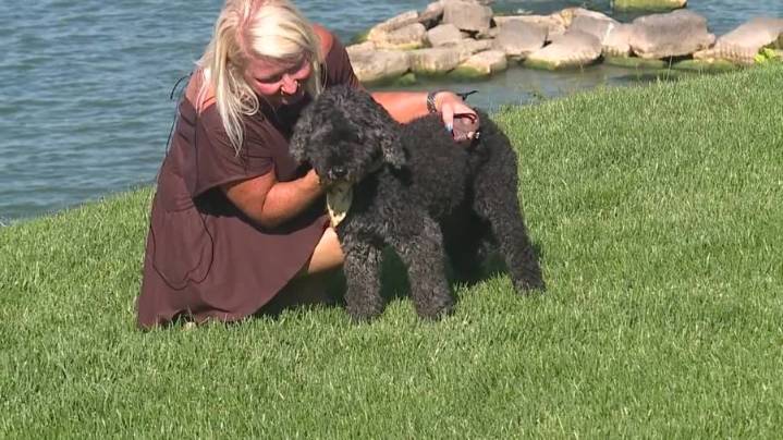 Video: Local drone operator helps rescue beloved dog missing for more than a day