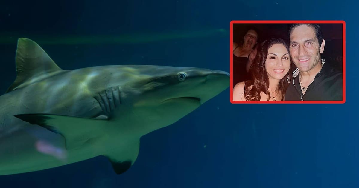“¡No quiero que me muerdas, no me muerdas!“: Surfista muere tras ataque de tiburón en playa de Australia; autoridades revelan que perdió varias extremidades