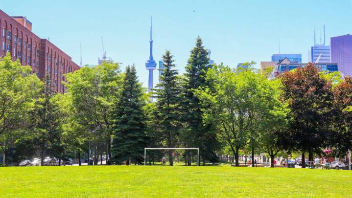 Poll finds quality of life in Toronto on the rise, but critics urge caution