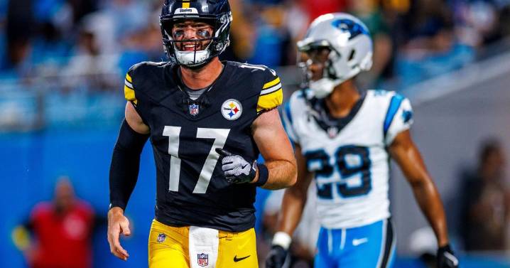 No formal complaint filed in Dublin incident involving Steelers backup quarterback, police say