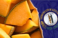Why I'm Calling This Orchard Discovery the 'Kentucky Cantaloupe'
