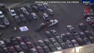 Human remains found in car registered to singer D4VD