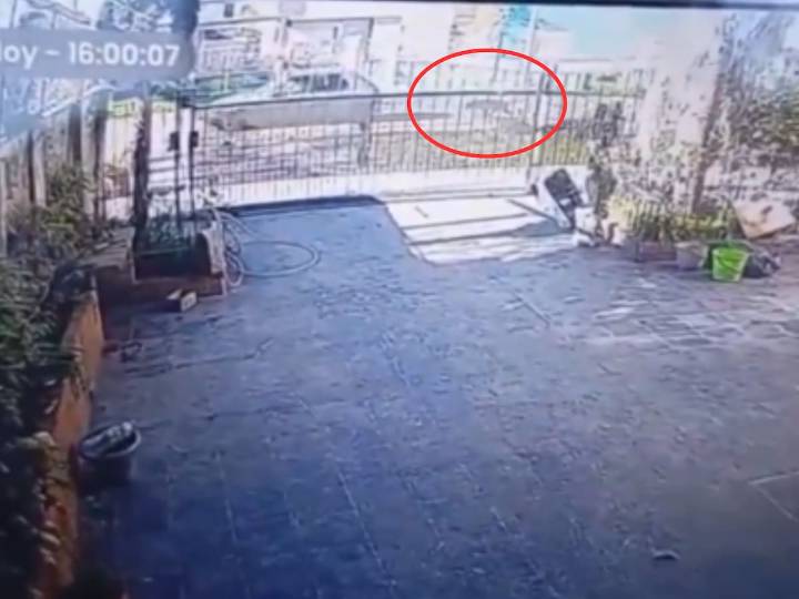 Una mujer ató a su perro a su auto y lo arrastró por varios metros: fue denunciada