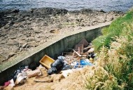 Measuring Eco-anxiety, or Not