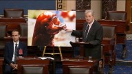 Kennedy leans on fact and fiction to tout Louisiana shrimp on the floor of the U.S. Senate