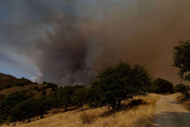 New Study Estimates Wildfire Smoke Will Soon Kill 71,000 Americans Each Year