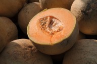 This cut cantaloupe recalled because it may make you sick