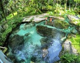 Florida Springs National park won't help, advocates say