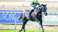 RACING 
                                          Comments
                                        
                                          Premium
                                        Star-s